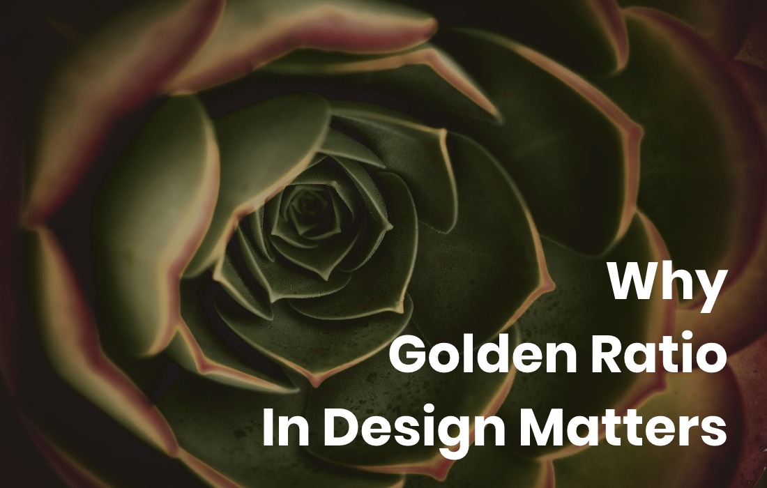 Why Is It Important To Know All About Golden Ratio In Design?